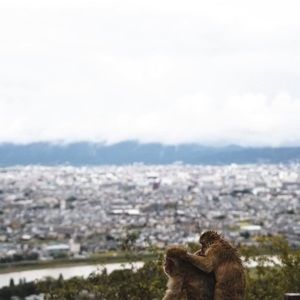 Meet your Posher, Levi